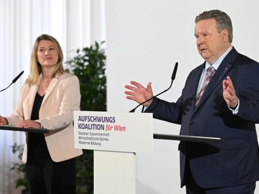 NEOS принимает решение по Венскому коалиционному пакту