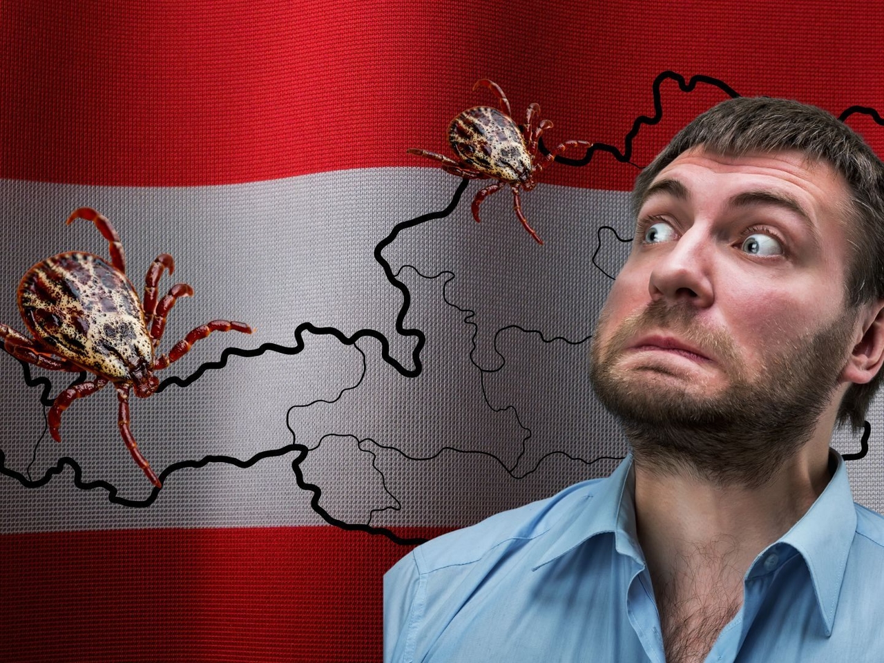 Alerta de garrapatas en Austria: nueva vacuna a la vista