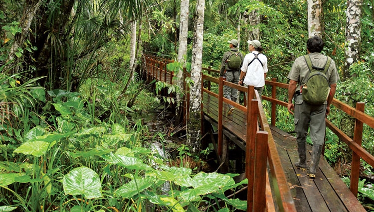 What are the Principles of Ecotourism?