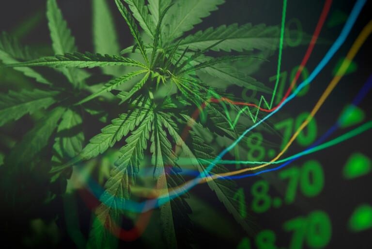 Hanf.com liefert operativen Turnaround - Neural Therapeutics sichert sich Wachstum im europäischen CBD-Markt