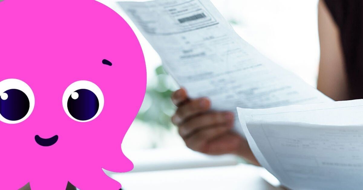Octopus Energy users can unlock smart new way to slash electricity bills