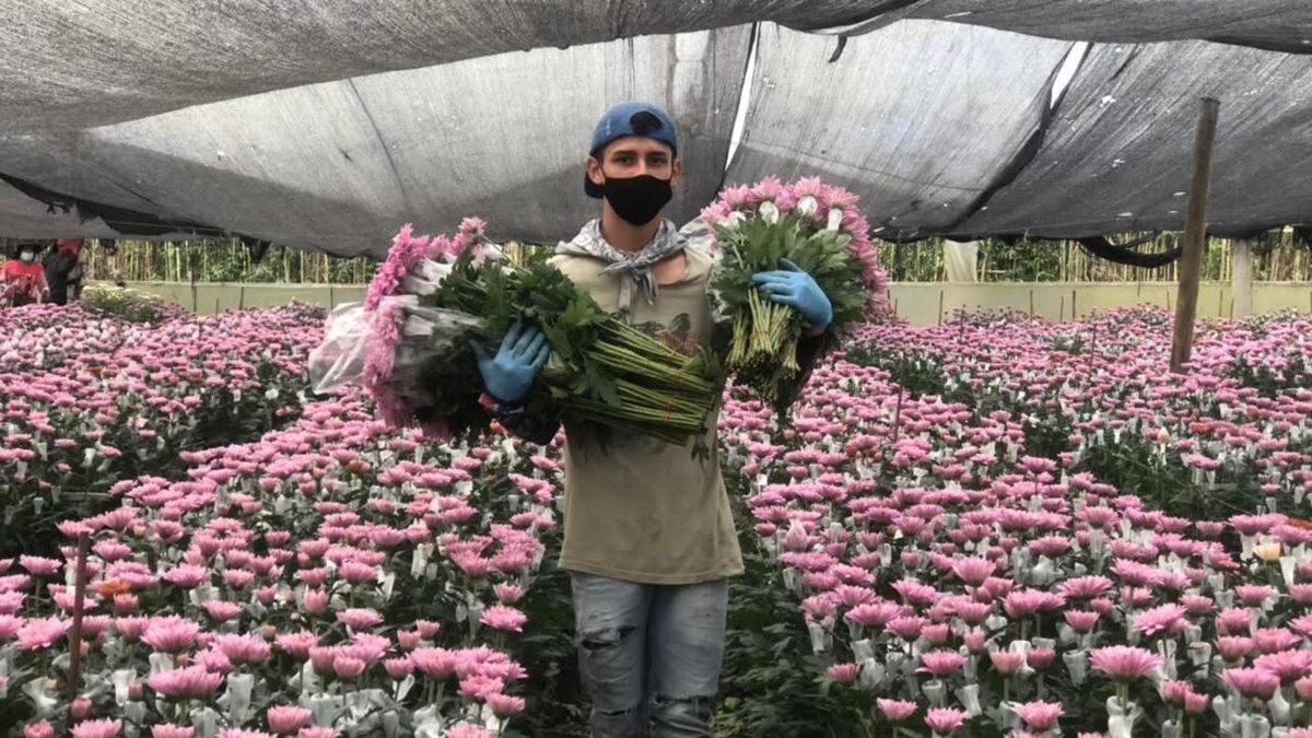ABD'ye en çok satış yapan ve Beyaz Saray'ın olası yeni gümrük vergisi artışından en çok risk altında olan sektörler