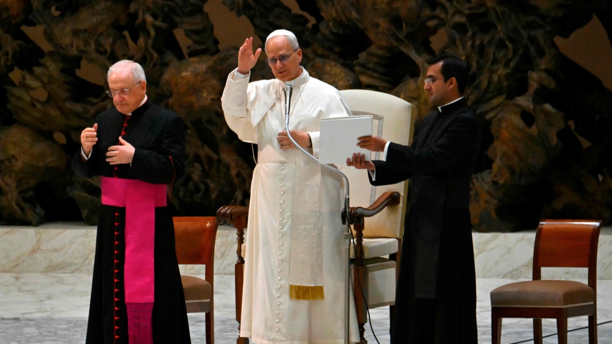 Papa XIV. Leo, evliliğe yönelik artan reddi uyardı