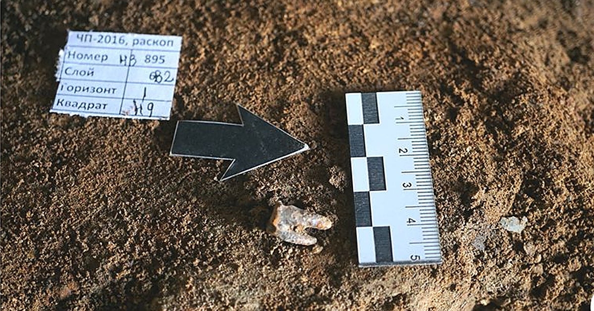 El primer dentista fue un neandertal: trató una caries con un taladro de piedra