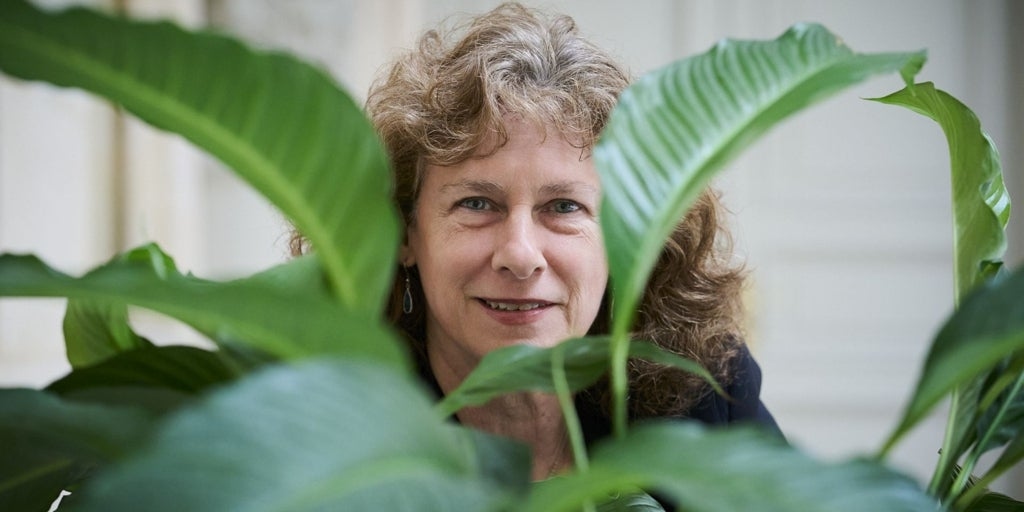 Camille Parmesan: „Der Hauptgrund für das Aussterben von Arten ist der Verlust von Lebensraum, nicht der Klimawandel.“