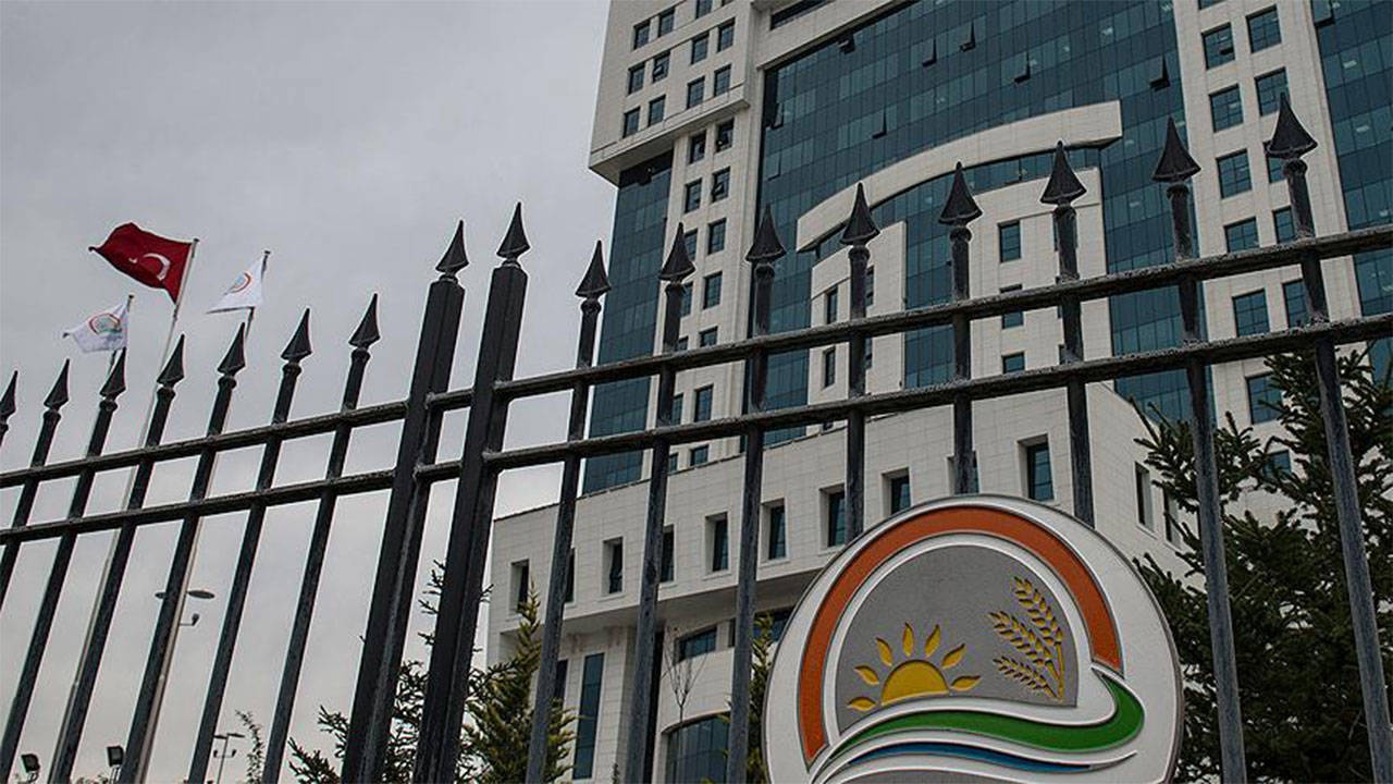 The Ministry of Agriculture added three new products to the counterfeit food list.