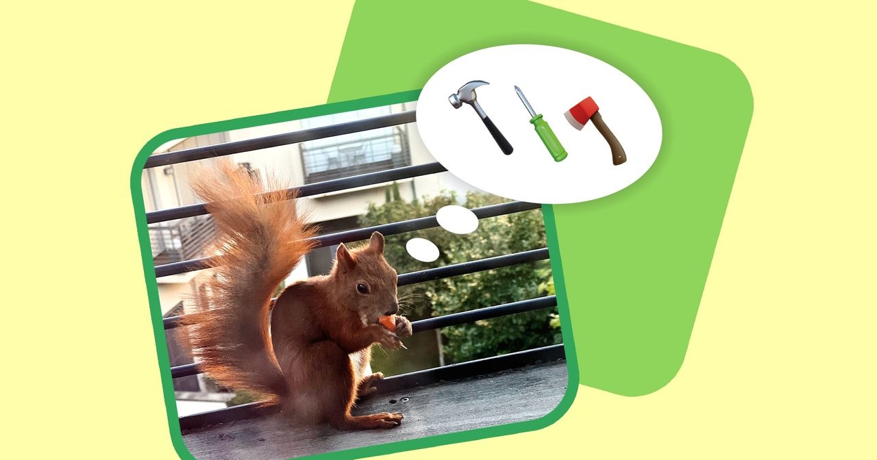 What a nut, that nut