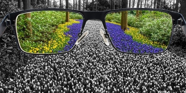 ¿Cuáles son las pruebas para detectar el daltonismo?