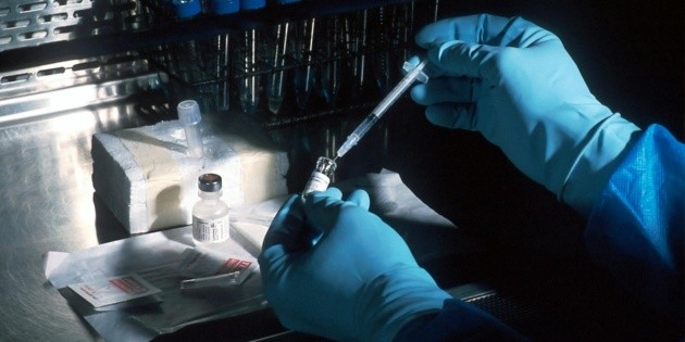 Investigadores logran rejuvenecer el sistema inmunitario con ESTE enfoque