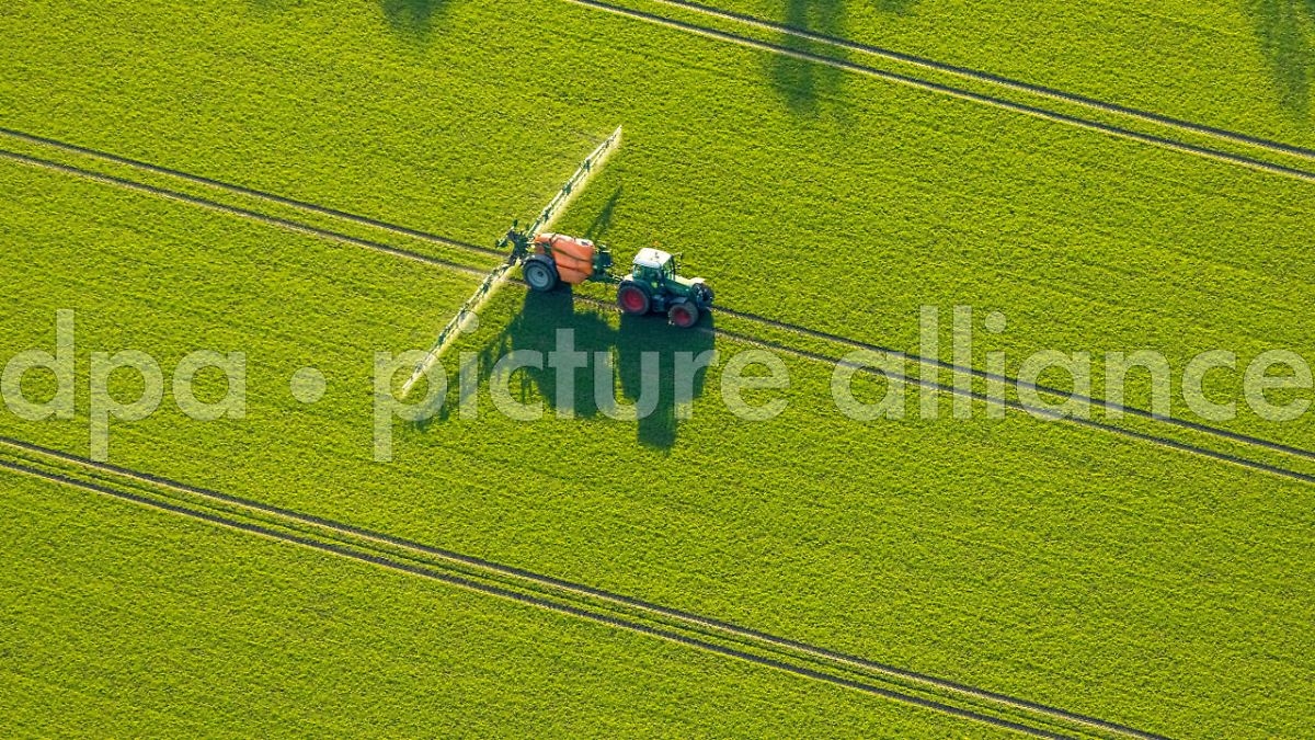 Меньше контроля: ЕС хочет избавить фермеров от бумажной волокиты